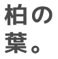 柏の葉。