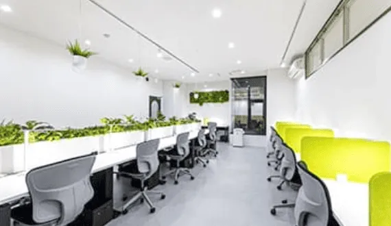 スタディーサイト