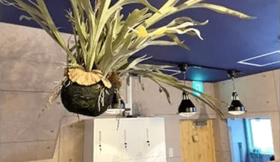 アイデスク中野2