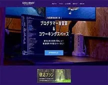 ギークライブラリー